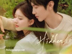 Hidden Love